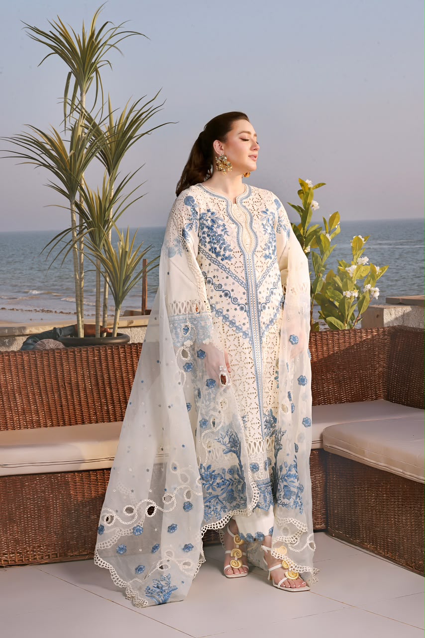 ANEELA CHICKEN KARI 3 PIECE