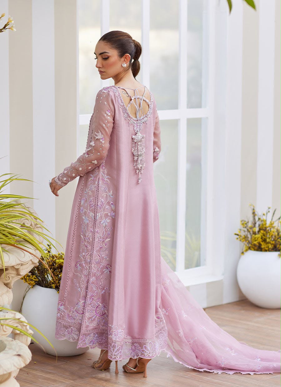 CHIRIZMA-Chiffon 2K26 Luxury Collection